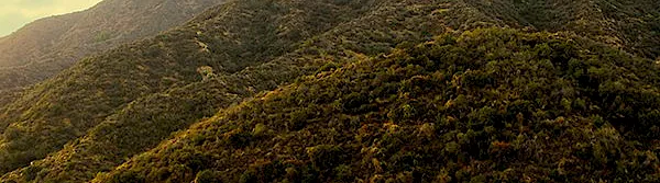 hills