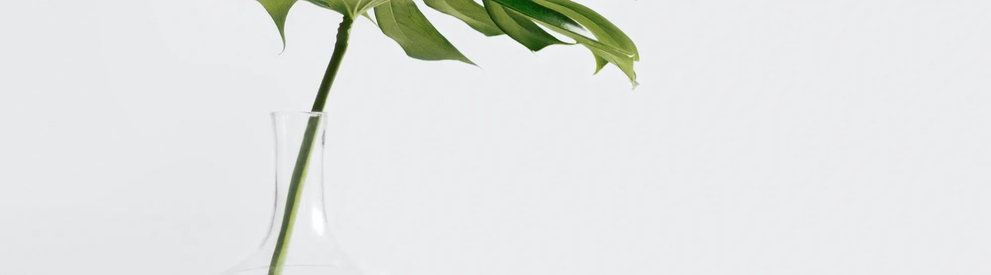 minimalism_blog