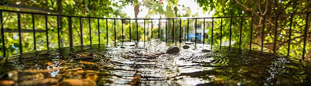 Fountain